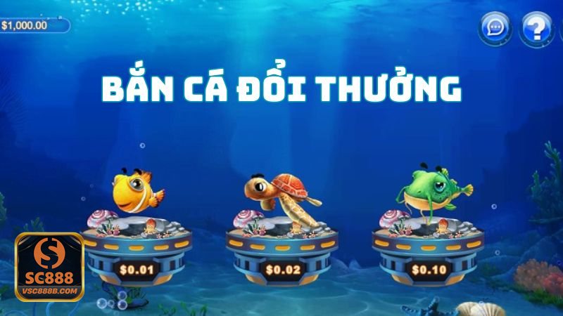 Bắn Cá Xèng - Giao diện mượt, nhịp chơi dễ bắt