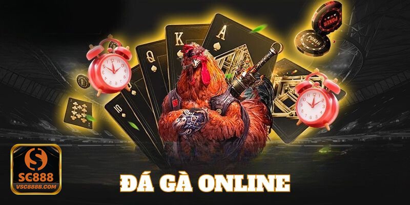 Đá Gà Online - Chất lượng phát sóng và phần bình luận dễ theo