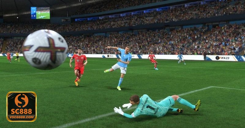 Thể thao SBO - Hỗ trợ khách hàng, đa ngôn ngữ và mức độ thân thiện