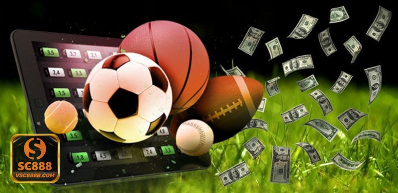 Thể thao SBO - Tổng quan thương hiệu và định hướng trải nghiệm tại SC888