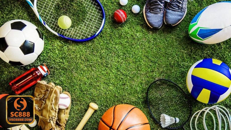 Nhà Cái Uy Tín SC888 - Nhà Cái Uy Tín SC888 được kiểm chứng qua những yếu tố nào?